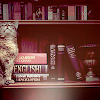 inchainz: (kitty on a bookshelf)