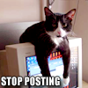 pensnest: tuxedo cat draped over computer monitor (Cat stop posting)