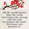 firedescent: All the world knows that the weak overcomes the strong and the soft overcomes the hard.  But none can practice it. (tao)