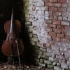 wispywillow: my cello propped against a decaying brick wall (mine cello brick)