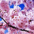 ext_1671: (Default)
