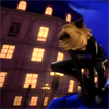 meouch: (pic#10066965)