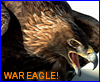 kareila: "War Eagle!" (wareagle)