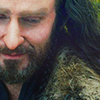oakenshielded: (thorin05-by_ponponpon_zpsc722c689)