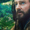 oakenshielded: (thorin12-by_ponponpon_zps56b07c24)