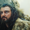 oakenshielded: (thorin24-by_ponponpon_zps0177cc39)