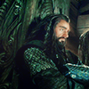 oakenshielded: (thorin40-by_ponponpon_zpsac64d0b9)