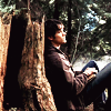 darkly_ironic: (sam leaning on tree)