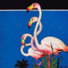 newredshoes: illustration, three flamingos in profile (<3 | important flamingos)