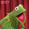kareila: (kermit, wtf)