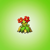 twinleaf: (bellossom.)
