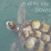 kareila: a sea turtle with the text "all the way DOWN" (turtle)