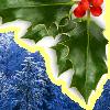 majoline: Holly on a background of snowy trees (Yule)