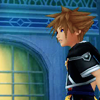 notzubats: Sora disapproves (hold up!)
