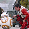 helluva_pilot: (bb-8 good buddy)