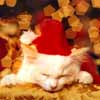 moss: Christmas Kitty (Christmas Kitty)