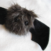 alien_laughter: sad-looking fluffy bat plushie (puppy eyes: please?)