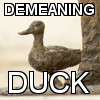 sunnymodffa: do you feel demeaned by ducks? (Demeaning Duck)