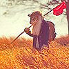 teigh_corvus: ([Misc.] Wandering Wolfen)
