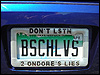 pantswarrior: License plate reading "BSCHLVS". (old car)
