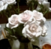 meirwen_1988: (Roses)