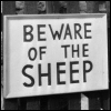 filkertom: (bewaresheep)