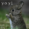 sadlikeknives: (happy bunny)