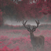valjeanoverboard: (deer)