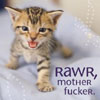 fellmama: (rawr)