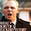 bookblather: A picture of Simon Pegg with an incredulous look on his face. Text is "What sort of fuckery is this?" (fuckery)