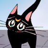 lunarguardian: (Always a little bit worried)