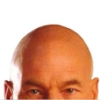 jer: The top half of Captain Jean-Luc Picard's head peeking up from the bottom (Picard Head)