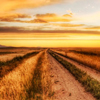 thelonelyroad: (pic#1045801)