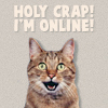 skaldadottir: Holy Crap! I'm Online! (who let this happen)