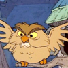 owlboy: (Owls - Archimedes)