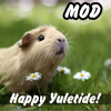morbane: uletide mod image of guinea pig among daisies (mod)