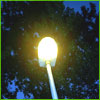 northern: picture of a lit street light, taken against a background of leaves and sky. (a light in the dark)