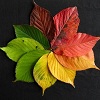 equinox_exchange: (pic#10576233)