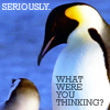 cofax7: Penguins: seriously, what were you thinking? (Penguins - what were you thinking?)