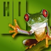 cofax7: Green frog says hi (Frog - HI!)