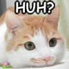 lapislaz: (huh?)