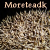 angrboda: Close-up of hedgehog bristles, with my username written above (Hedgehog)