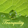 esteven: (Tranquility)