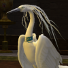 the_last_heron: (Squawk!)