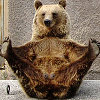 khaleesipls: (bear present)