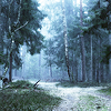 ofenchantment: (Default)