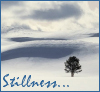 ladysorka: (Stillness)