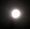 bluewolf458: (Supermoon)