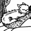 death_from_above: (Spark Nice nap)