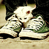 rhema: (kitty chucks of cuteness)